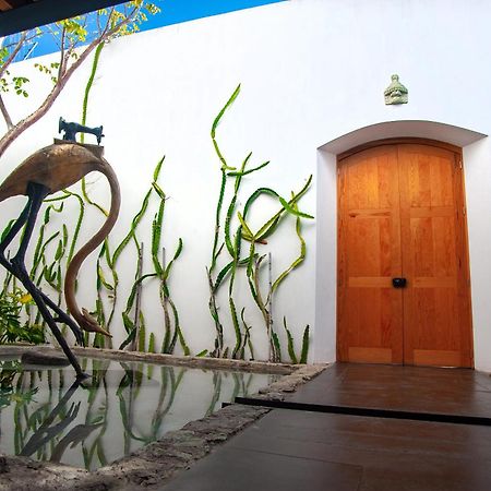 Casa Carmen Xolotl Hotel Oaxaca Exterior photo