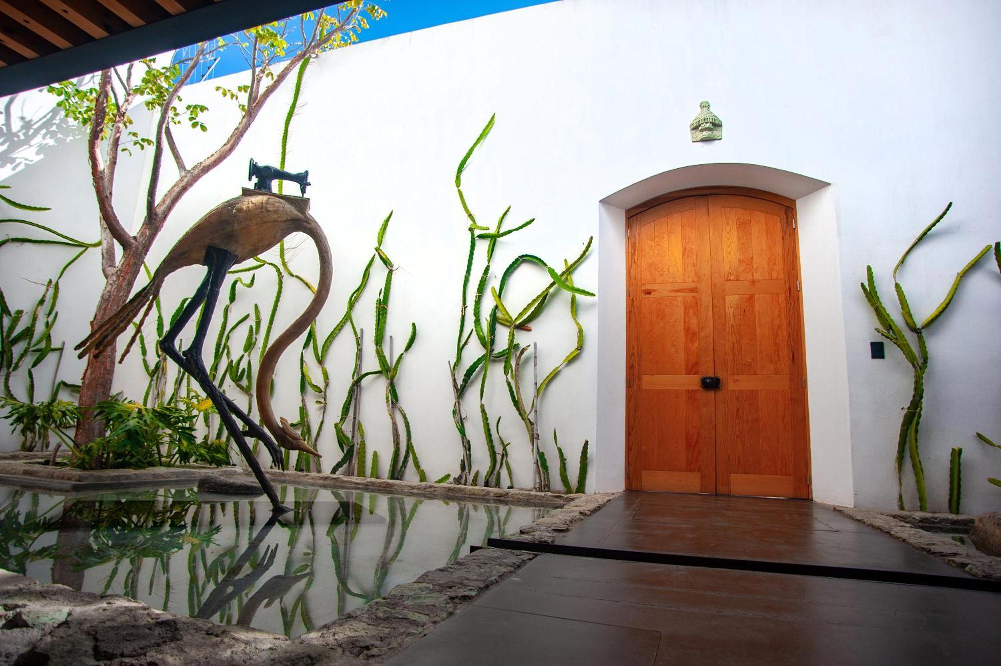 Casa Carmen Xolotl Hotel Oaxaca Exterior photo